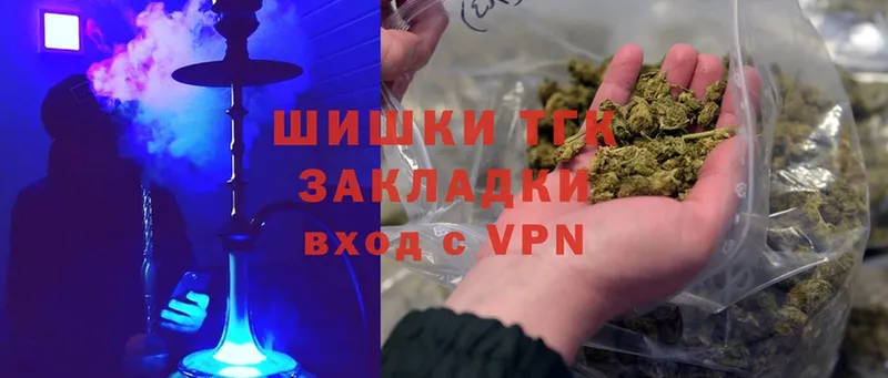 Каннабис OG Kush  Волхов 